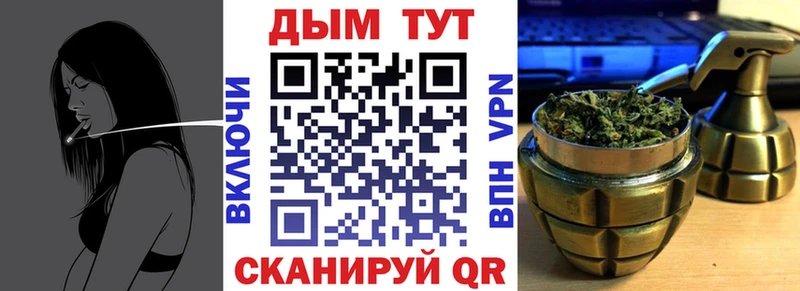 где купить наркоту  Светогорск  Шишки марихуана SATIVA & INDICA 